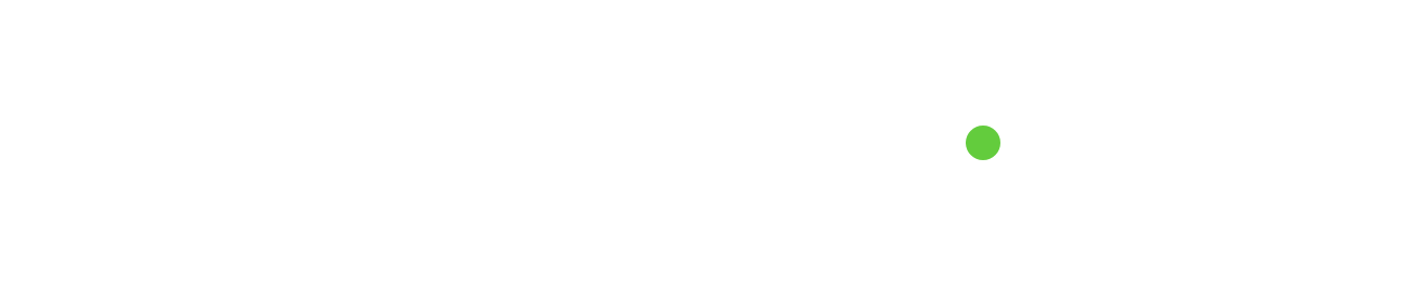 NVS Group